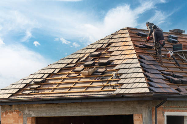 Best Roof Maintenance and Cleaning  in Pico Rivera, CA